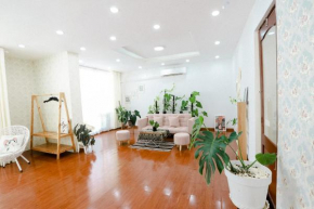 Houseplant Room In The Beach City